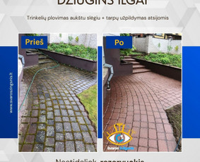 Profesionali fotografija: renginiai, portretai, nekilnojamasis turtas
